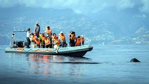 Madeira ofrece senderos de trail running donde disfrutar al aire libre y con seguridad