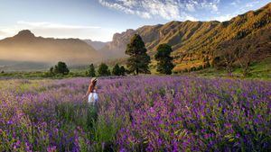 La Palma deslumbra son su inmenso jardín silvestre en primavera