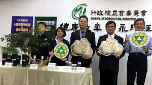 Taiwán presenta un método para cultivar especies autóctonas de trufa blanca
