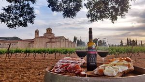 Planes para disfrutar de la Ruta del Vino Ribera del Duero en el Día de Castilla y León