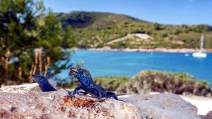 Cabrera, la gran desconocida del archipiélago balear