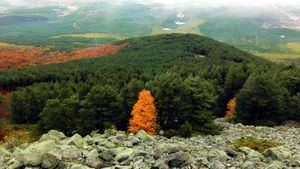 Pistas para gozar del paraíso natural del Moncayo