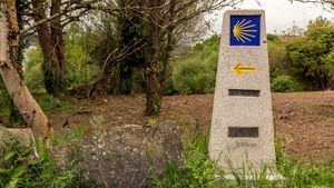 Conocer diferentes rutas del Camino de Santiago de la mano de artesanos españoles