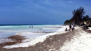 Tesoros naturales de Las Bahamas, un viaje al origen del ecoturismo