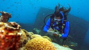 PADI, la organización de buceo más grande del mundo quiere restaurar la salud de los océanos