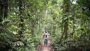 Turistas en la Reserva de Tambopata