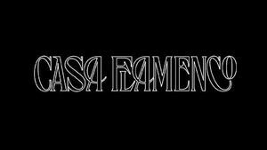 Nace Casa Flamenco