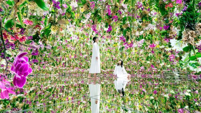 Jardines inmersivos con orquídeas flotantes y ovoides lumínicos en Tokio