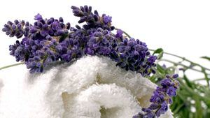 Los beneficios de la lavanda y la menta para la piel