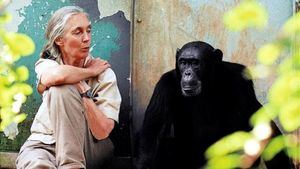 Primatóloga Jane Goodall establecerá academia de sostenibilidad en Taiwan