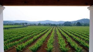 Senderos azules y rutas gastronómicas en las Islas Baleares