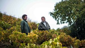 La guía Robert Parker concede el Emblema Verde a la bodega Álvaro Palacios en el Bierzo