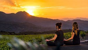 Propuestas para disfrutar de la Ruta del Vino D.O. Ampurdán en la Costa Brava