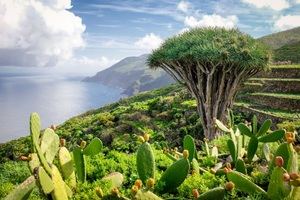 La Palma, pueblo a pueblo: descubrir los rincones más mágicos de la Isla Bonita
