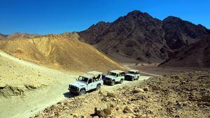 Diferentes formas de descubrir el desierto del Negev