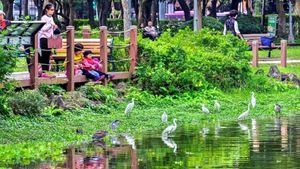 Nuevo Taipei, paraíso para los observadores de aves