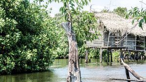 Riviera Nayarit, uno de los mejores lugares del mundo para la observación de aves