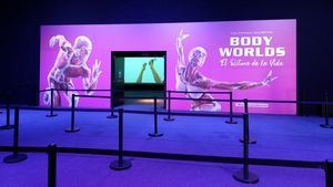 Body Worlds. El Ritmo de la Vida, en Madrid