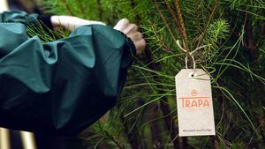 Plantando Futuro Contigo, el proyecto de Chocolates Trapa para reforestar España