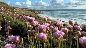 Alentejo paraíso del slow travel, famoso por su cultura, su gastronomía y la calma que se respira