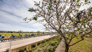 Rutas de cicloturismo para recorrer Mallorca de forma sostenible