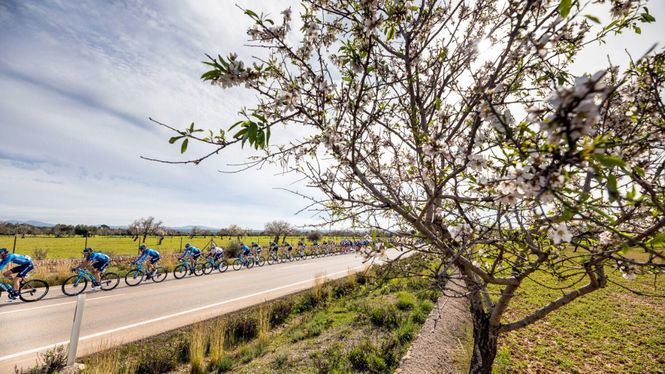 Rutas de cicloturismo para recorrer Mallorca de forma sostenible