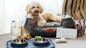 El Hotel Majestic Hotel & Spa Barcelona lanza un servicio para las mascotas