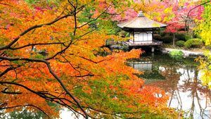 Japón acogerá en su stand de FITUR actividades como clases de japonés para viajar
