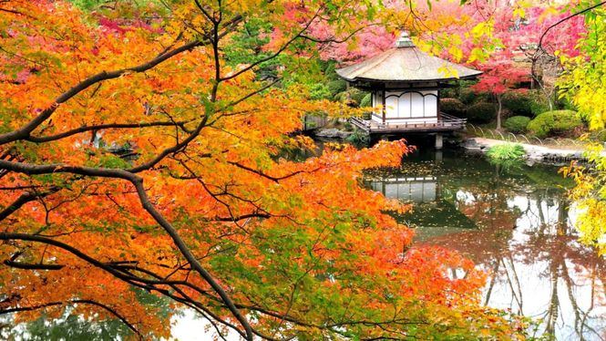 Japón acogerá en su stand de FITUR actividades como clases de japonés para viajar