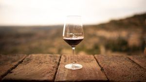 Somontano ha incrementado durante 2021 la comercialización de sus vinos