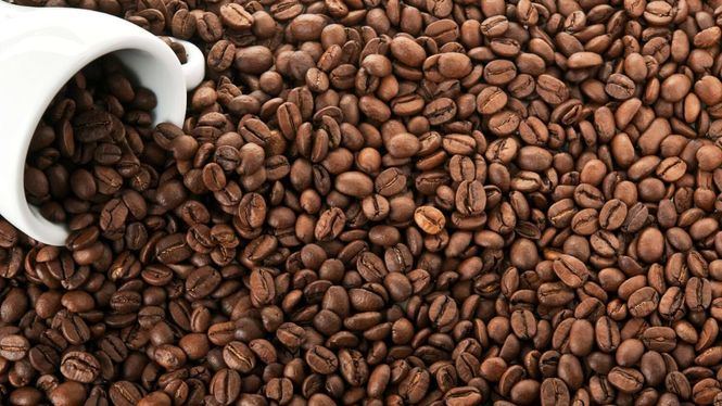Cuna del mejor café del mundo: Centroamérica y República Dominicana