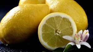 Verna, el limón idóneo para los más pequeños de la casa