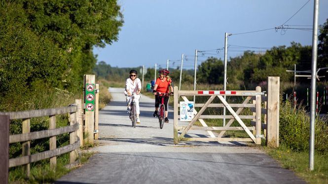 La Vía Verde del Canal Real de Irlanda nombrada Ruta Ciclista Europea del Año 2022
