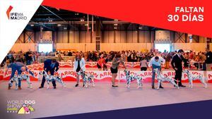 Madrid acoge la mayor competición mundial de perros de raza