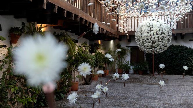 FLORA Festival Internacional de las Flores lanza su convocatoria para artistas noveles