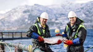 Los españoles en el cuarto lugar como consumidores de pescado del mundo