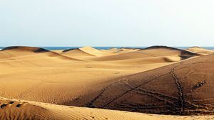 Maspalomas: qué visitar y dónde alojarse