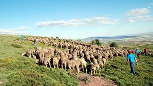 La experiencia turística y etnográfica de acompañar a los últimos pastores trashumantes