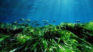 Las Islas Baleares finalizan 16 proyectos sostenibles gracias a la tasa turística