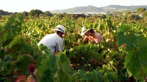 Experiencias de turismo familiar en la Costa Brava y el Pirineo de Gerona