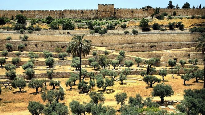 Israel busca atraer producciones extranjeras de cine y televisión