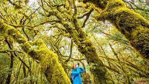 Travesía de experiencias a través de la naturaleza de Tenerife y La Gomera