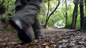 Artes escénicas, paisajes volcánicos y rutas ciclistas en Costa Brava y el Pirineo de Gerona