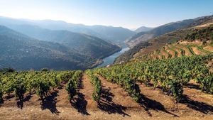 Douro, Portugal.