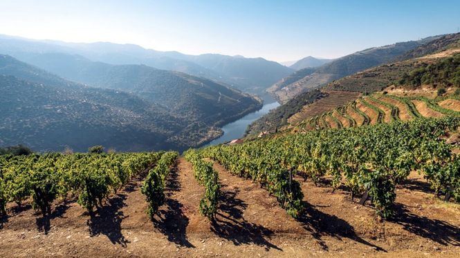 El otoño, el mejor momento para emprender un viaje enológico