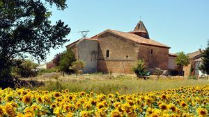 Patrimonio, naturaleza y actividades gastronómicas en Burgos durante el otoño