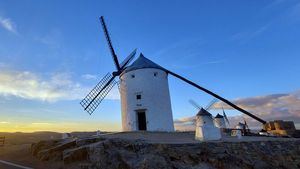 Consuegra, un rincón mágico teñido de púrpura por la flor del azafrán