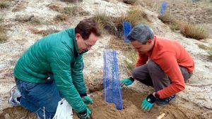 Iberia finaliza su tercera y última fase de plantación en Paracuellos del Jarama