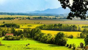 Alemania, vivir la naturaleza con experiencias extraordinarias