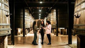 Durante este año 75.000 enoturistas han visitado las Bodegas de Logroño